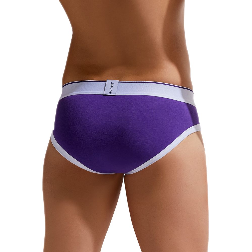 Мужские трусы брифы фиолетовые GAUVINE 2002