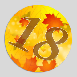 Номер участника. Диаметр 86 мм.