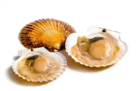 Морепродукты