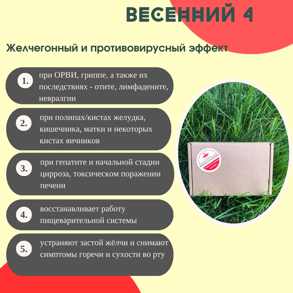 Бокс "Весенний 4"