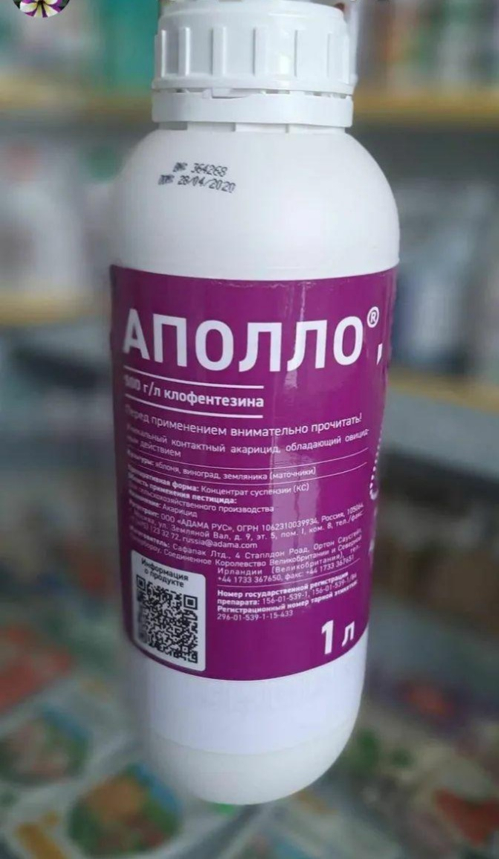 Аполло,КС