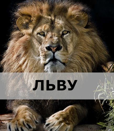 Подарки с изображением Льва