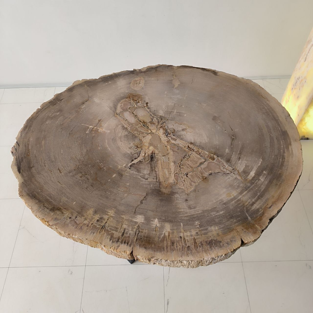 Столешница из окаменелого дерева ST-64160 Бандунг (0137) 96*80*7