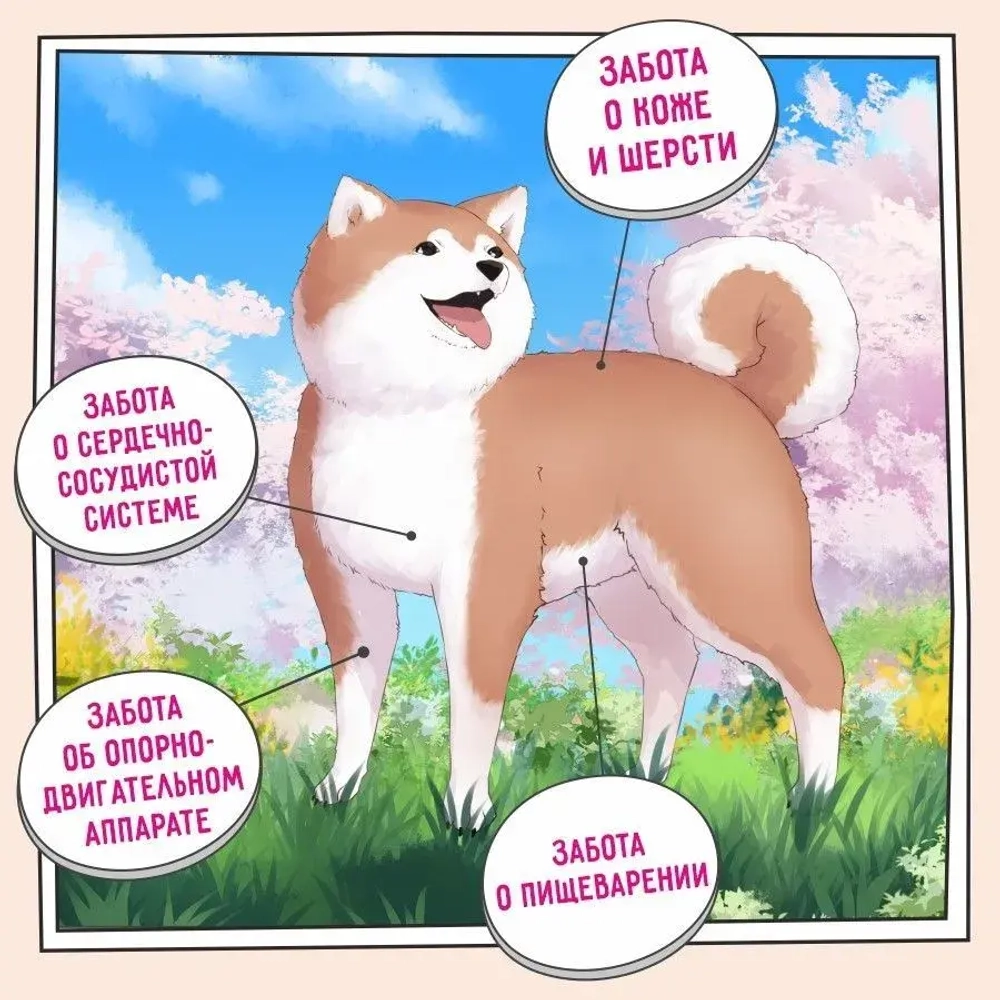 Сухой корм для собак ZILLII (Зилли) Dog Adult Large Breed 3кг индейка и ягненок для крупных пород