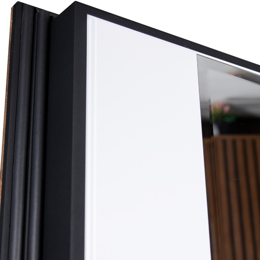 Стальная дверь "Сапсан" с зеркалом (биометрический замок К06)