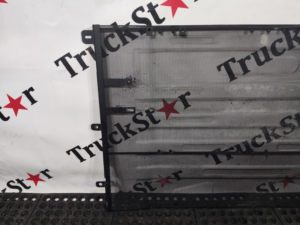 Сетка радиатора москитная 2023г