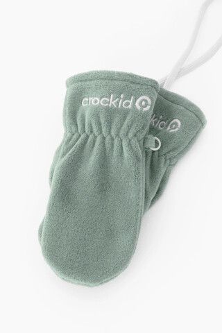 варежки  для мальчика  ФЛ 10000/25/62 ГР