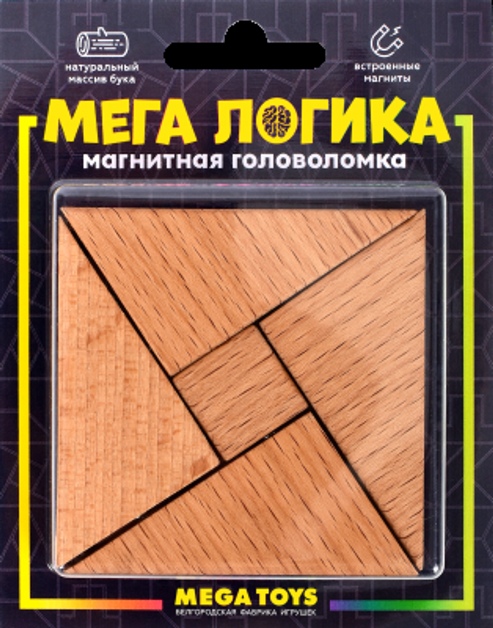 Магнитная головоломка по системе раннего развития Никитина 15952 (Лидер)