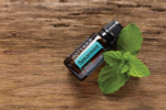 Эфирное масло doTERRA Садовая мята, Spearmint, 15 мл