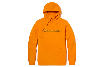 Худи THE NORTH FACE Vanlife, NF0A5JW6-PKH