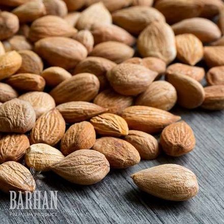 Абрикосовая косточка