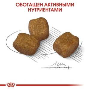 Корм для собак, Royal Canin Mini Dental Care, с повышенной чувствительностью зубов