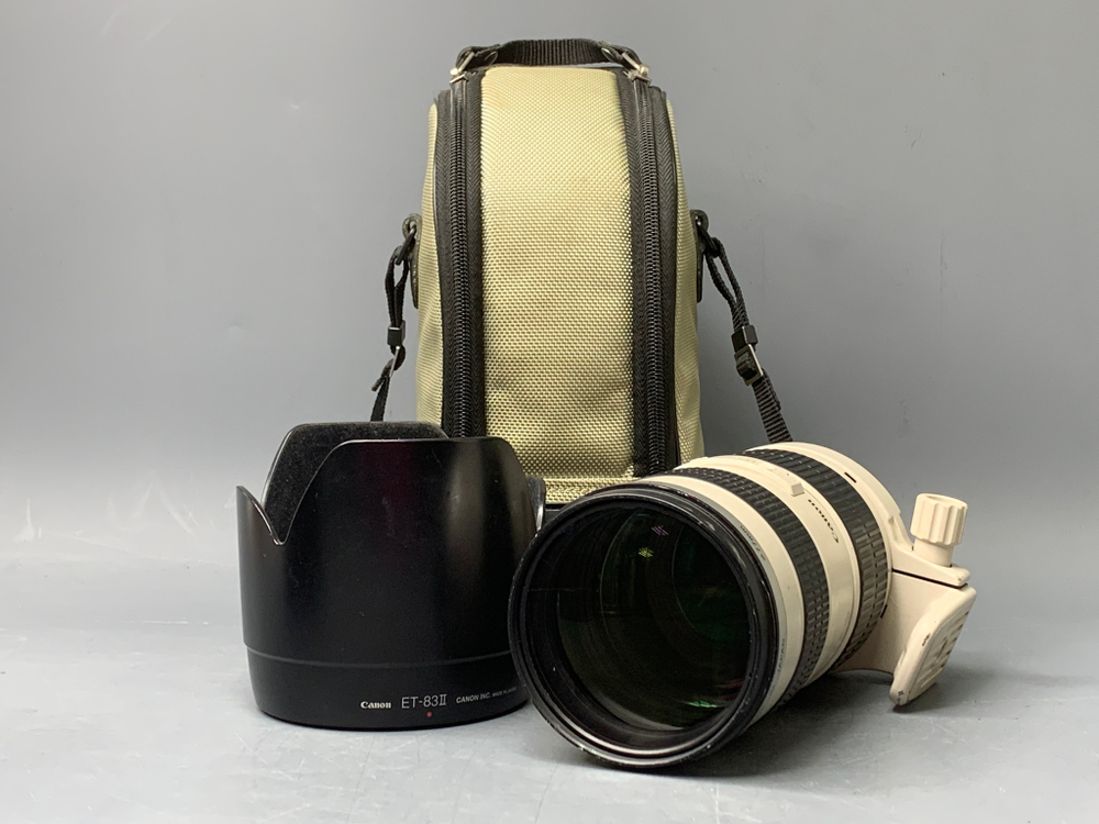 Canon EF 70-200mm f/2.8L USM с дефектом