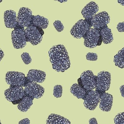 Лесные ягоды: ежевика