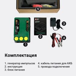 Электропастух ТОР-6 ЭКО, генератор 6 Дж/ 12В АКБ + 220В