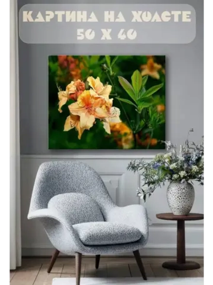 Картина на стену 40 X 50 Лилейник