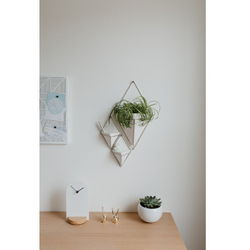 Декор для стен Trigg, маленький, белый/никель Umbra