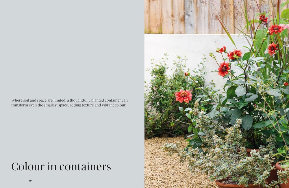 Colour in the Garden: Stylish ideas for year-round colour