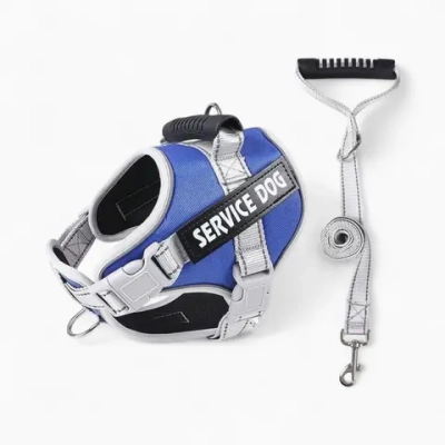 Шлейка и поводок «Service Dog»