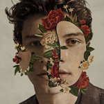 Shawn Mendes / Shawn Mendes (LP)