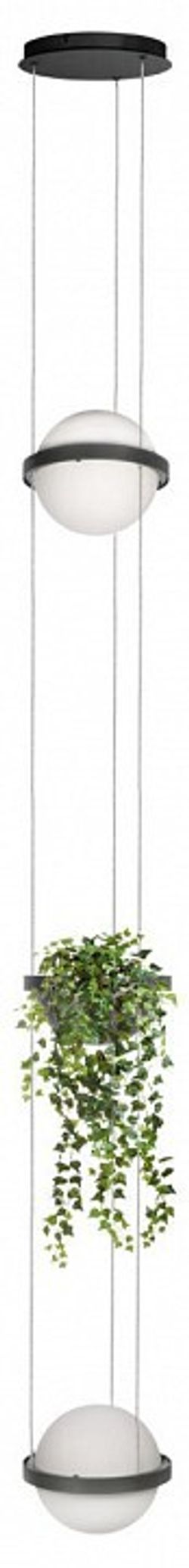 Подвесной светильник Loft it Jardin 10121/2P Dark grey