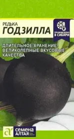 РЕДЬКА