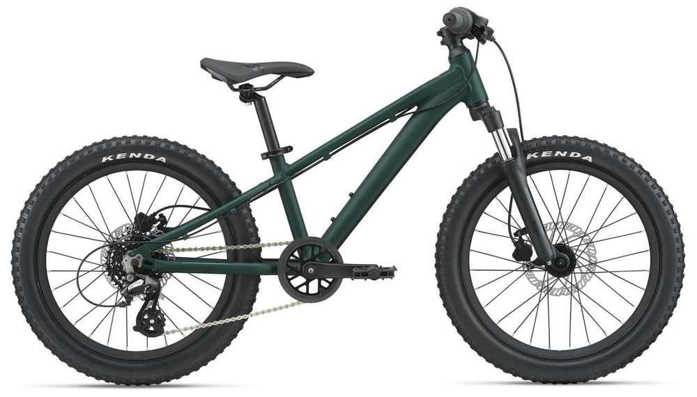 Детский велосипед Giant STP 20 FS (2021)