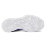 Волейбольные мужские кроссовки Nike Zoom Hyperspeed Court Blue Shoes
