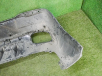 DSCN1515.jpg
