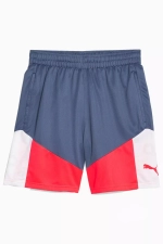 Шорты Puma individualCUP