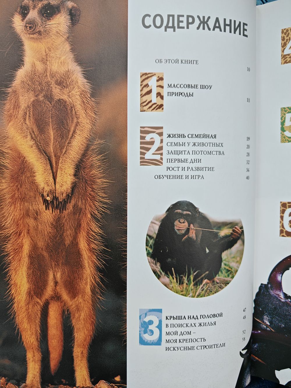 1000 чудес природы