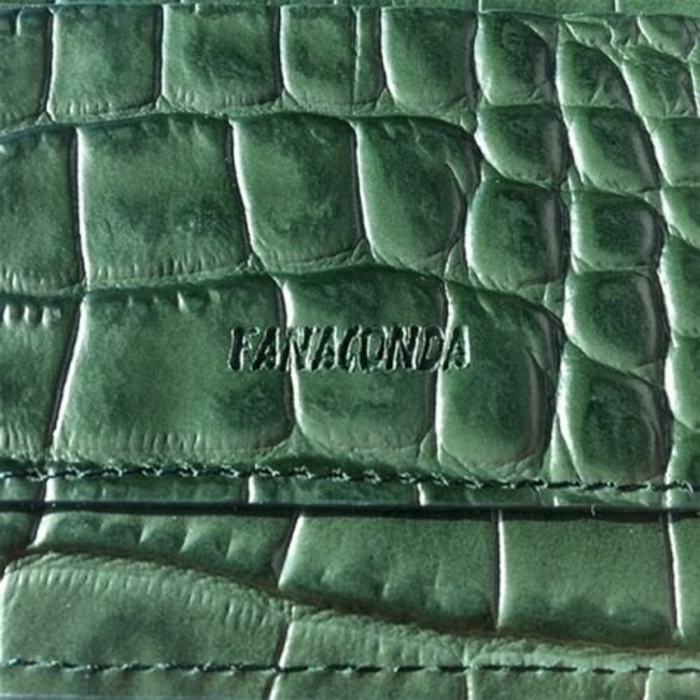 Альбом FANA - FANACONDA 3rd Album