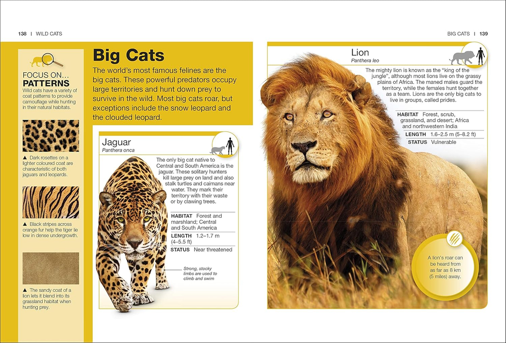 Cats (Pocket Eyewitness)