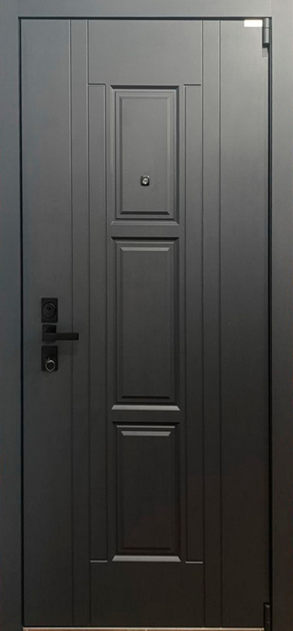 Стальная дверь "Спектра". Заказная модель.