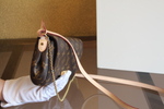 Louis Vuitton Favorite PM