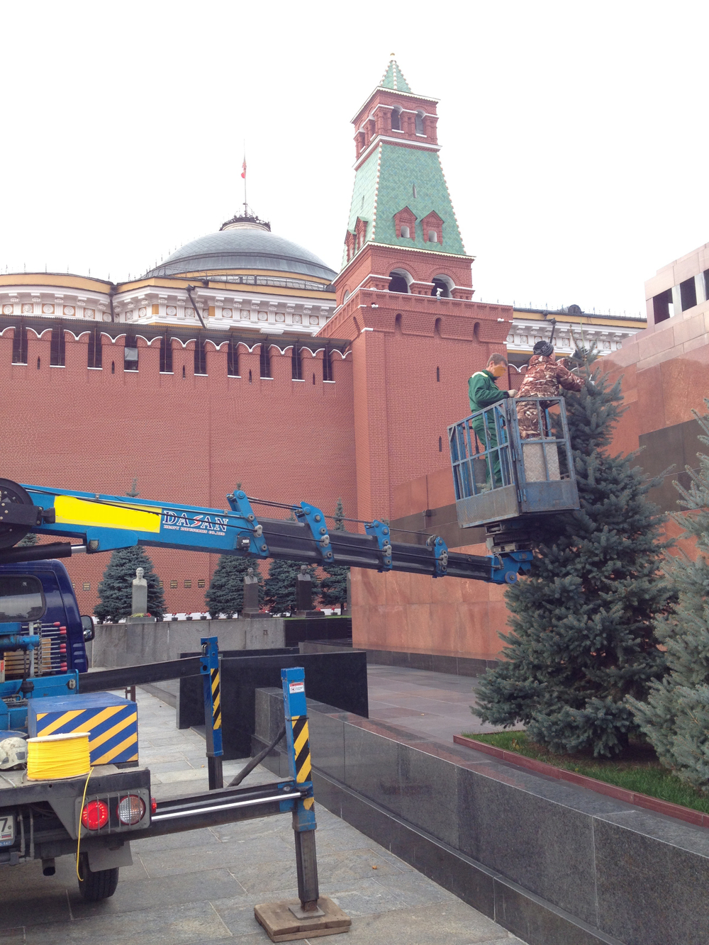 Удаление деревьев под ключ.