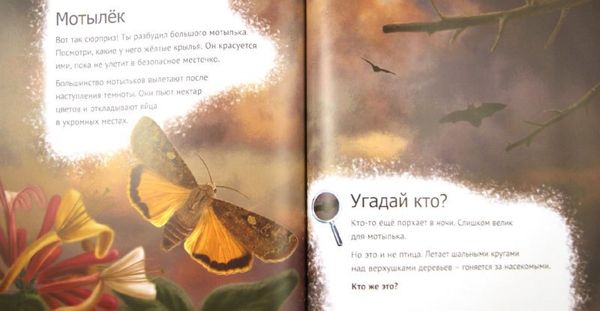 Кто живет у нас на даче. От мала до велика. Майк Анвин