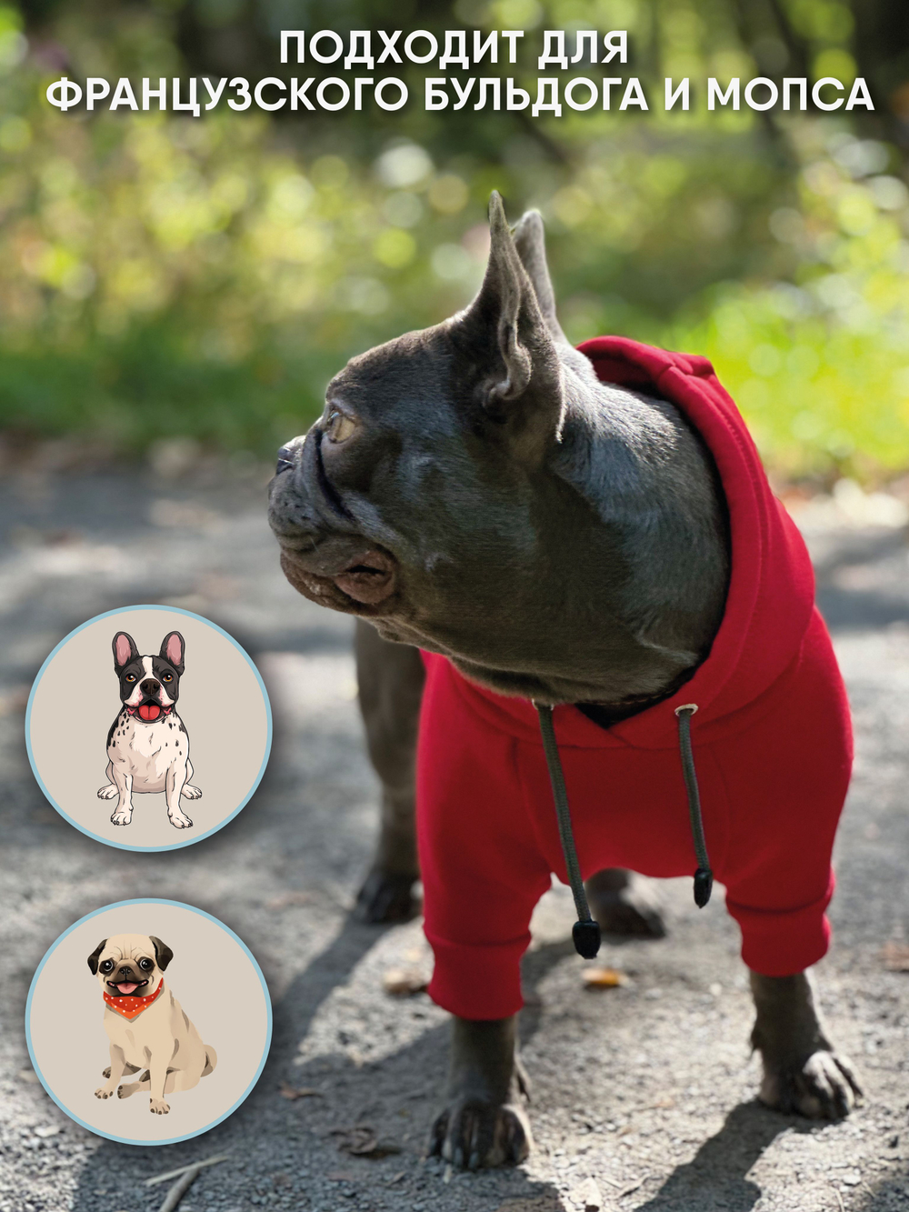 Толстовка для собак пород французского бульдога, мопса, голубой,M