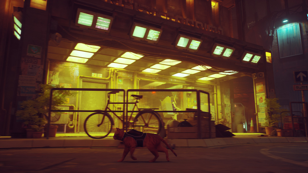 Stray Стандартное издание (диск для PS5, интерфейс и субтитры на русском языке)