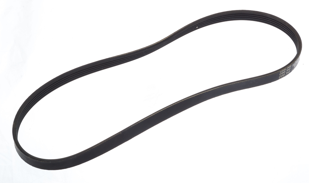 5508203 Ремень (поз. 77)