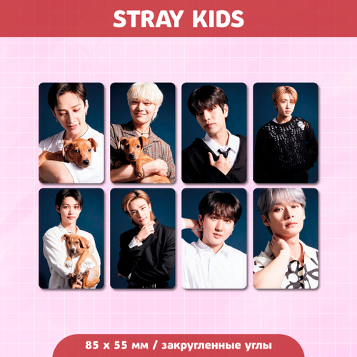 Сет карточек / STRAY KIDS #240