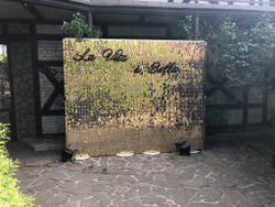 Фотозона из золотых пайеток