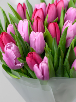 Тюльпаны микс