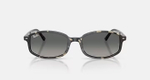 RAY-BAN SAM RB2232 133371