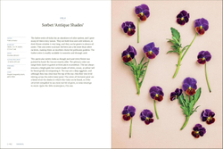 Pansies: How to Grow, Reimagine, and Create Beauty with Pansies and Violas