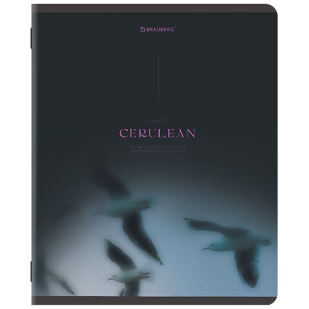 Тетрадь А5, 48 л., BRAUBERG, скоба, клетка, SoftTouch, "Peaceful", (микс в спайке), 405327