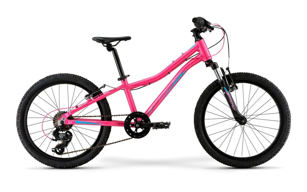 Детский велосипед Merida Matts J.20 Eco (2022)