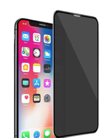 Защитное стекло iPhone 12/12 Pro антишпион