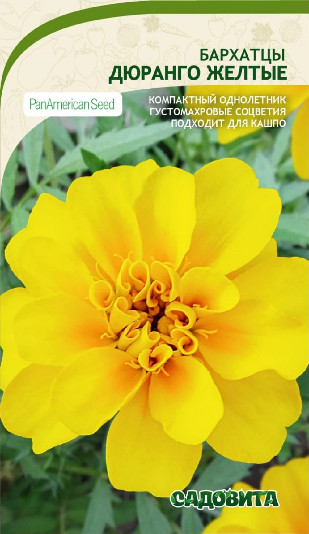 Бархатцы Дюранго Желтые 15шт PanAmerican/Садовита