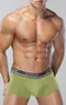 Мужские трусы R-95 Khaki